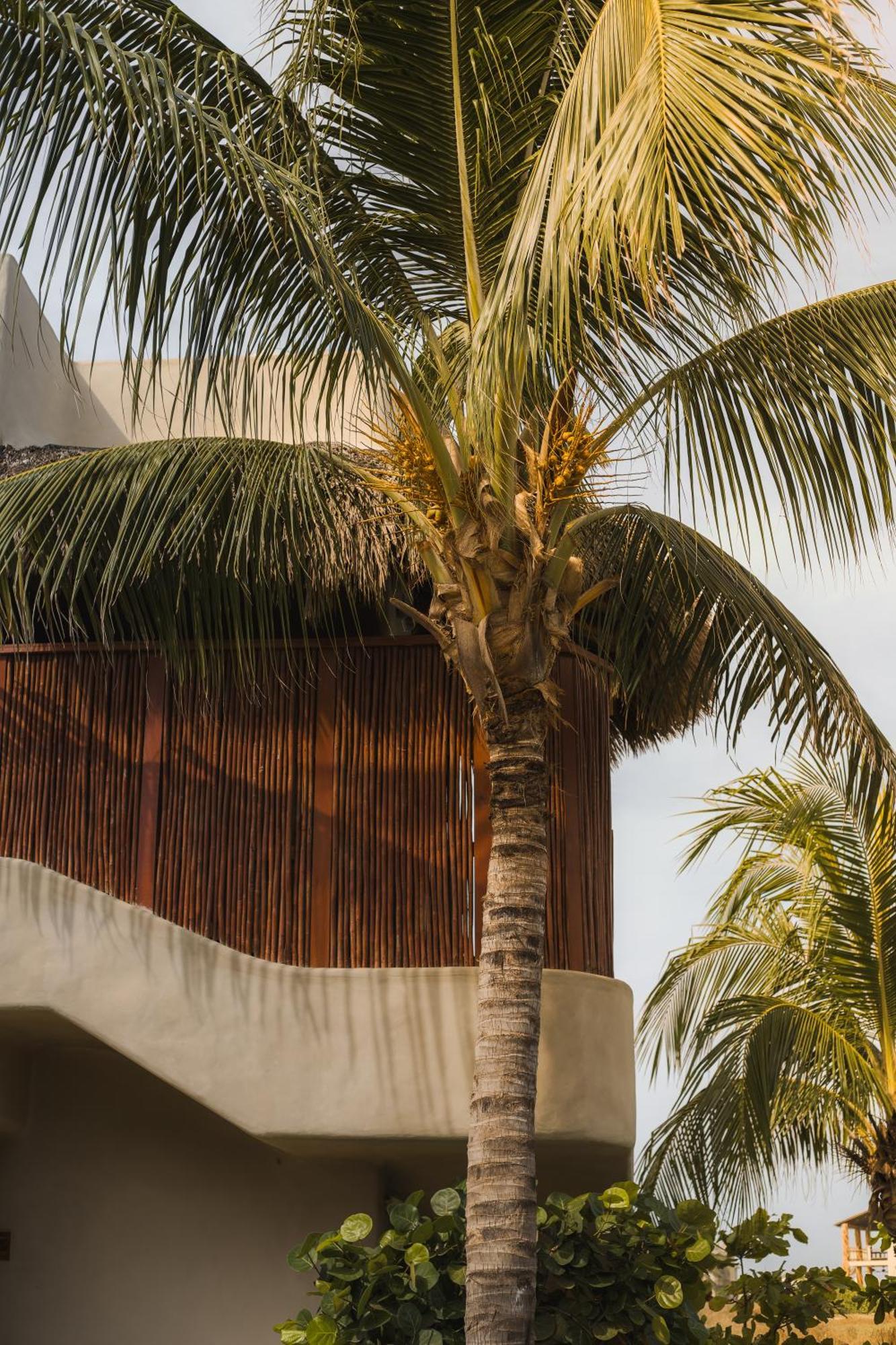 El Origen Villas & Spa-Puerto Escondido Puerto Escondido  Exterior photo